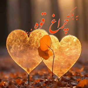 رمان چراغ قوه از یاسمین شریف