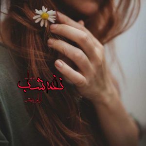 رمان نغمه شب از آرام و بنفشه 15