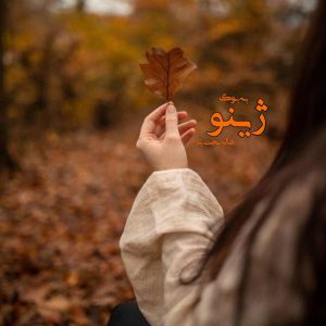 رمان ژینو از هاله بخت یار 27