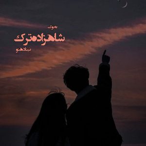 رمان شاهزاده ترک از نینا دهنو 37