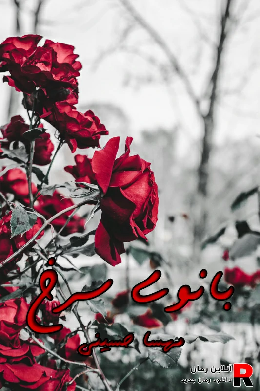 دانلود رمان بانوی سرخ pdf مهسا حسینی