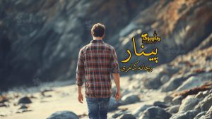 رمان پینار