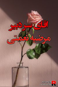 دانلود رمان اقای سر دبیر pdf از مرضیه نعمتی