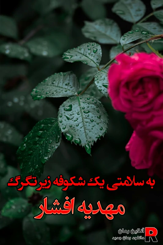 دانلود رمان به سلامتی یک شکوفه زیر تگرگ pdf مهدیه افشار