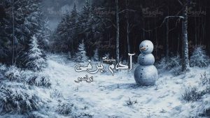 رمان آدم برفی