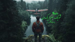 رمان شوایک سرباز پاک‌ دل
